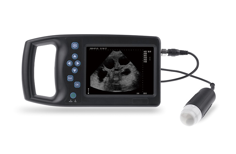 M6机械扇扫兽用B超诊断仪
