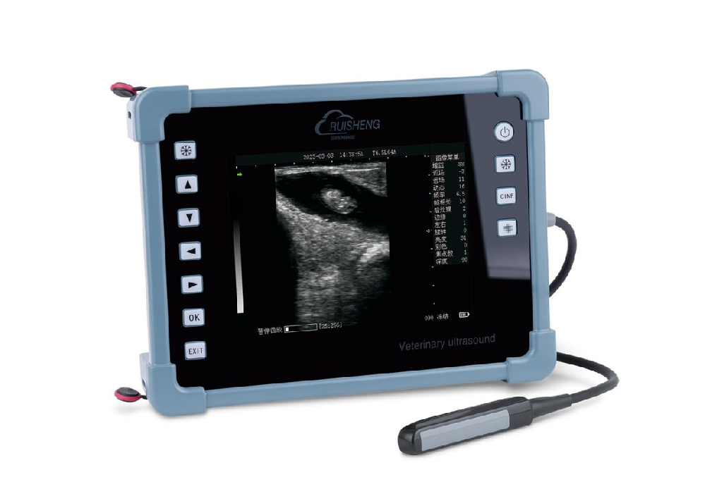 C8 牛用全数字B超诊断仪