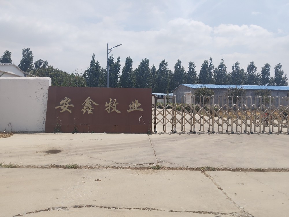 省示范级种公站B超培训